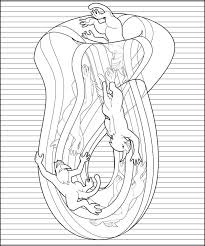 Name:  klienbottle.jpg
Views: 515
Size:  11.2 KB