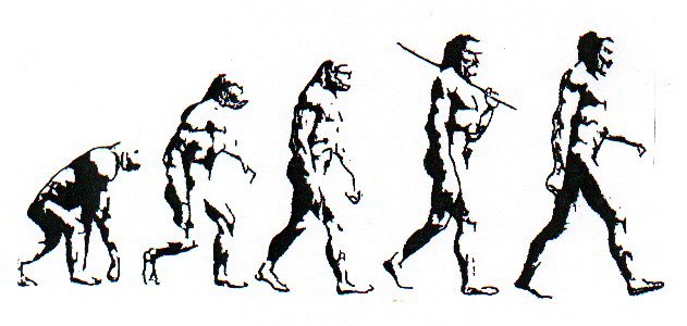 Name:  evolution-chart.jpg
Views: 530
Size:  40.8 KB