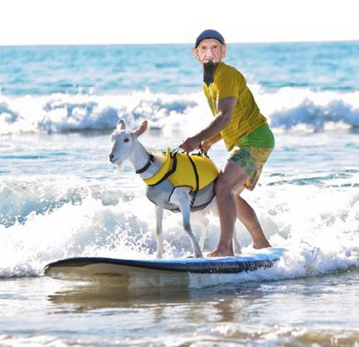 Name:  barney surfing goat 2.jpg
Views: 2159
Size:  155.2 KB