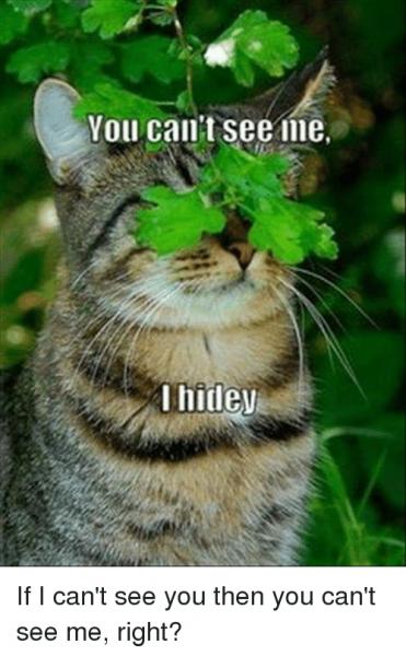 Name:  you-cant-see-me-i-hidev-if-i-cant-see-13674301.jpg
Views: 593
Size:  39.0 KB