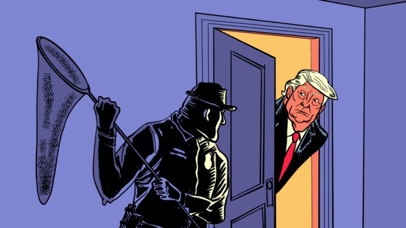 Name:  trump hiding.jpg
Views: 936
Size:  42.5 KB