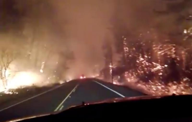 Name:  fire otis.jpg
Views: 1629
Size:  25.4 KB