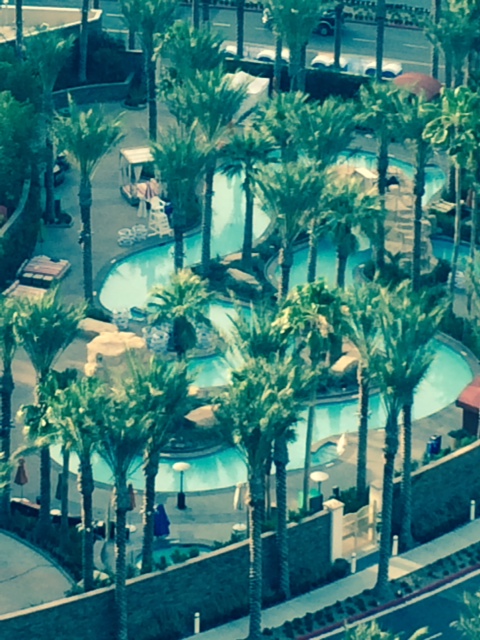 Name:  Rincon Lazy River.jpg
Views: 1229
Size:  168.8 KB