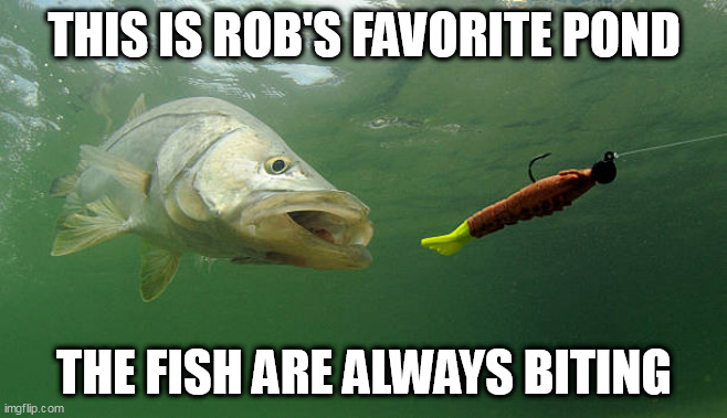 Name:  fish bite meme.jpg
Views: 290
Size:  75.1 KB