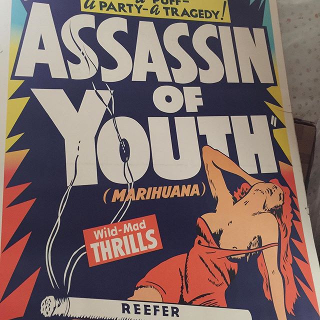 Name:  assassin of youth.jpg
Views: 651
Size:  77.0 KB
