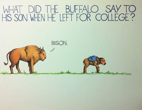 Name:  buffalo.jpg
Views: 658
Size:  21.8 KB