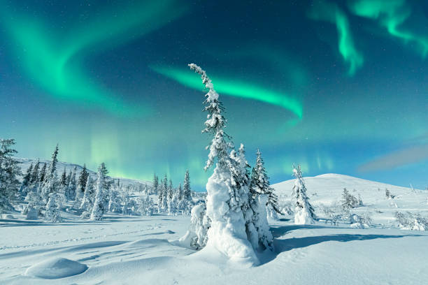 Name:  finland.jpg
Views: 331
Size:  37.9 KB