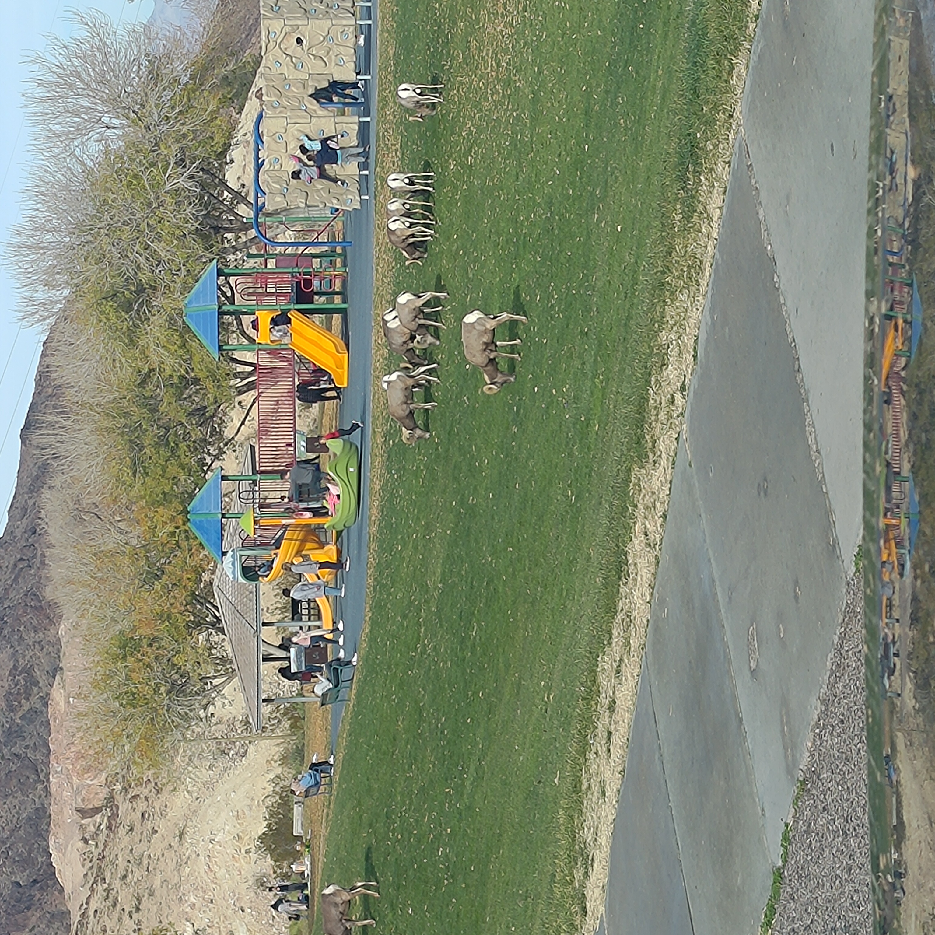 Name:  P_20231231_132420.jpg
Views: 771
Size:  2.96 MB