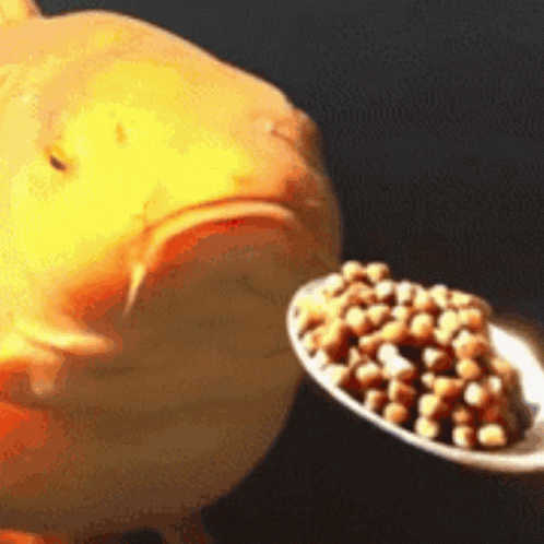Name:  tenor.gif
Views: 308
Size:  3.66 MB