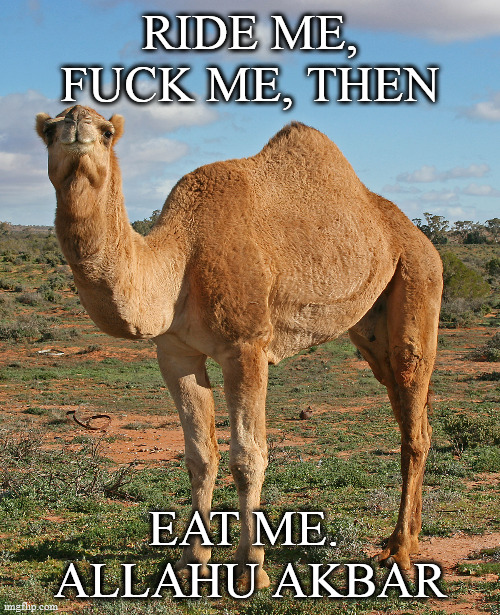 Name:  9dkwhj.jpg
Views: 98
Size:  188.1 KB