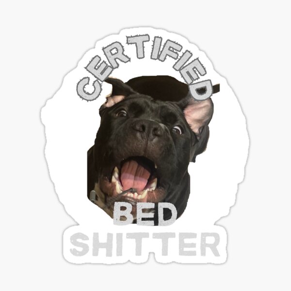 Name:  bed shitter.jpg
Views: 30
Size:  29.9 KB
