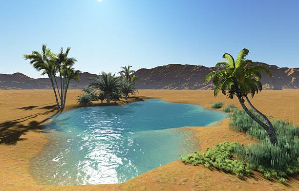 Name:  asis.jpg
Views: 167
Size:  53.8 KB