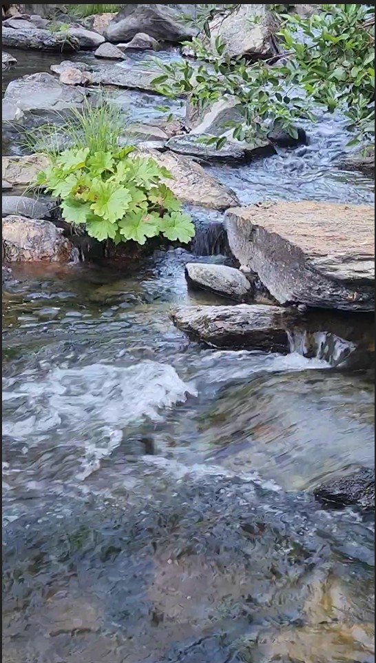 Name:  my cali creek.jpg
Views: 38
Size:  191.8 KB