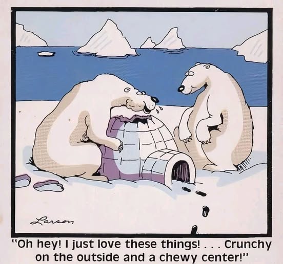 Name:  polar bears and igloo.jpg
Views: 3
Size:  45.0 KB