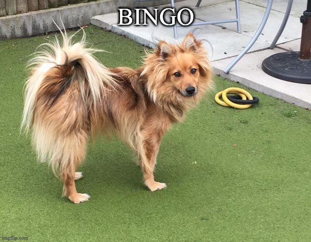 Name:  acrel1.jpg
Views: 20
Size:  98.2 KB