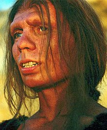 Name:  220px-Reconstruction_of_Neanderthal_woman.jpg
Views: 195
Size:  20.8 KB