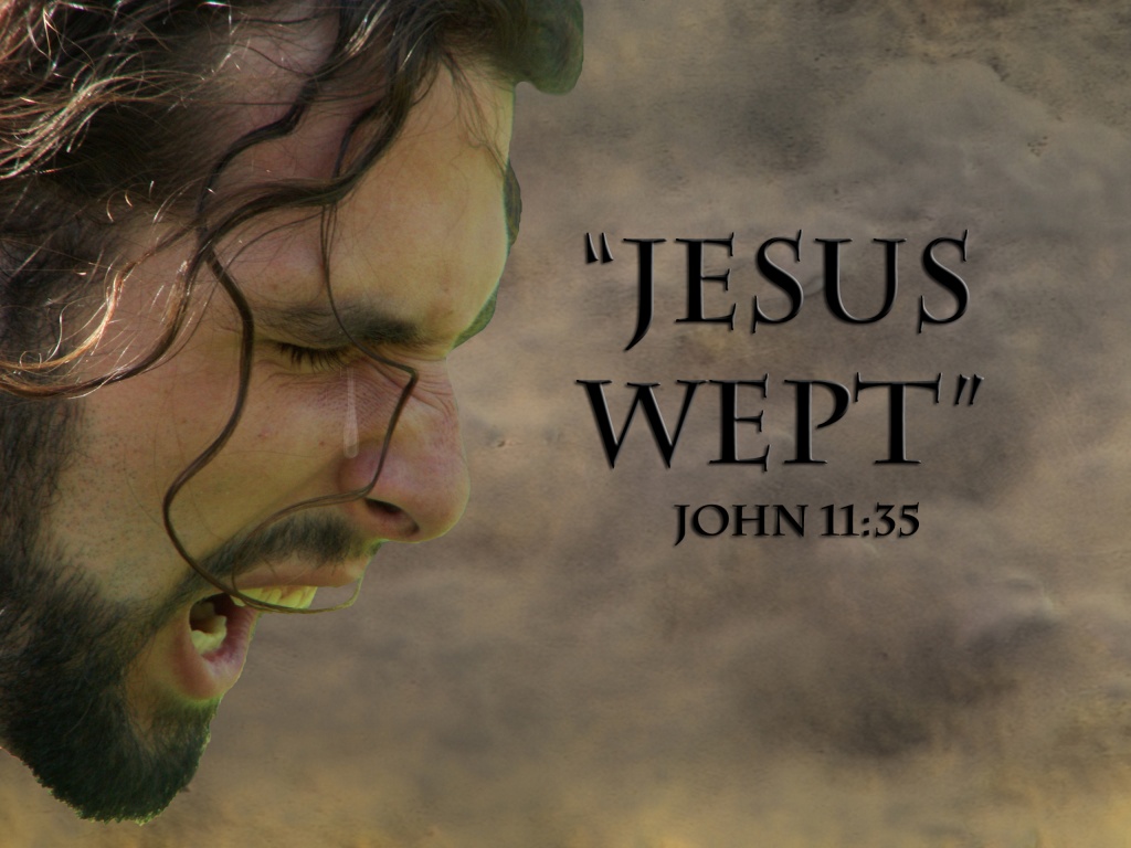 Name:  jesus-wept.jpg
Views: 699
Size:  192.5 KB