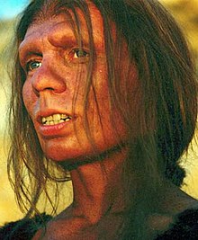 Name:  220px-Reconstruction_of_Neanderthal_woman.jpg
Views: 197
Size:  20.8 KB