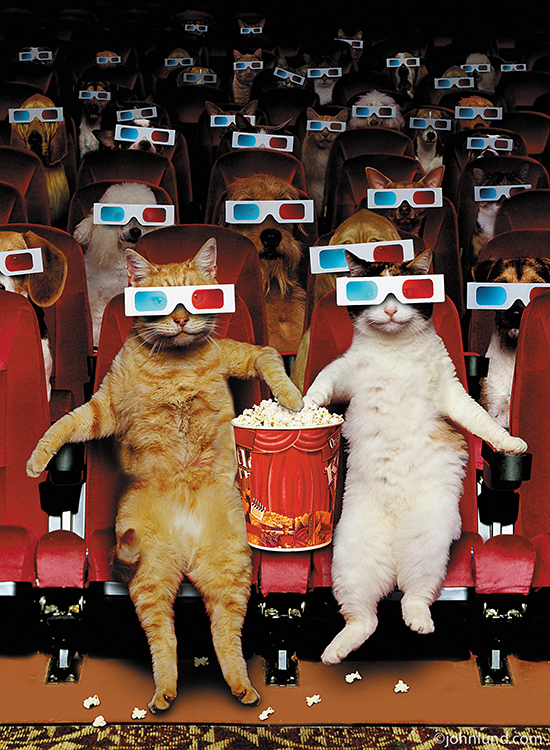 Name:  3d cats with popcorn.jpg
Views: 810
Size:  543.0 KB